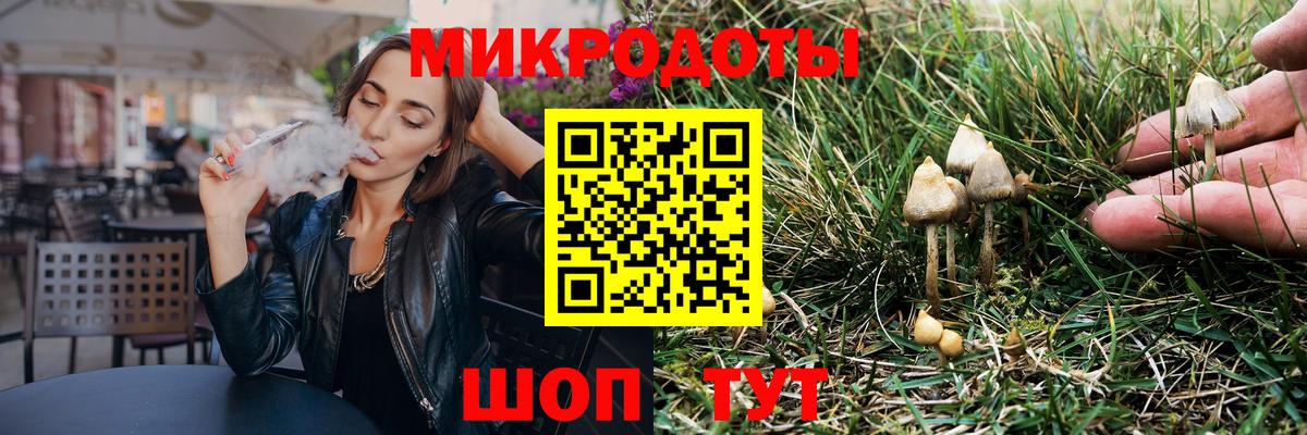 Псилоцибиновые грибы Cubensis Губаха